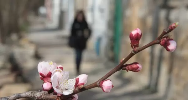 Синоптики пообіцяли Україні потепління до +17 градусів: яким областям готуватись і коли