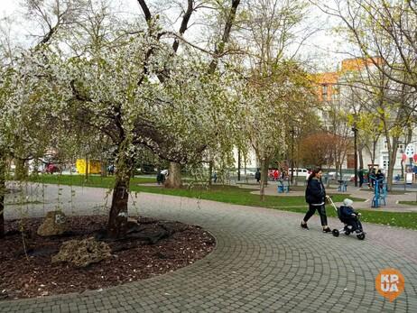 Синоптики розповіли, коли до України прийде довгоочікуване потепління