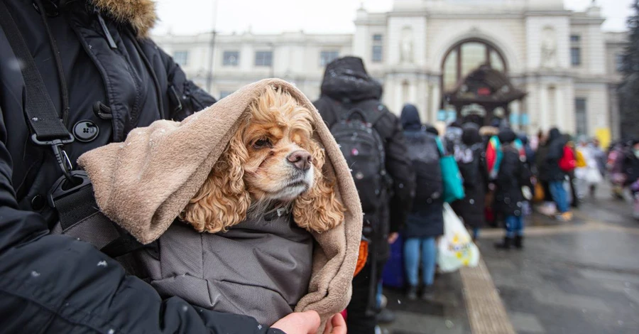 За час війни потягами 