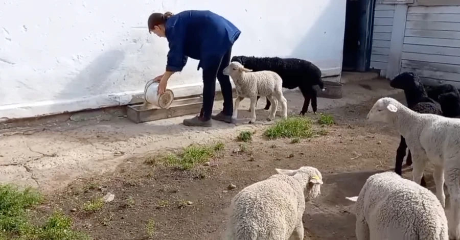 В заповеднике 