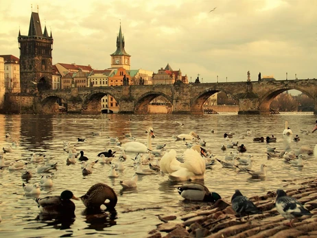 Поради нашим у Чехії: smetana до борщу додавати не можна і як заробити, розпиваючи пиво