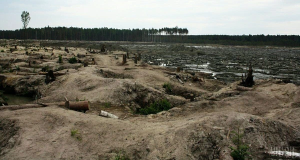 Старатели Ровенщины: Мыть янтарь уже невыгодно – покупателей из-за войны нет