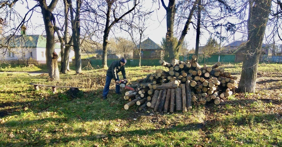 Як безробітних залучають до суспільно корисних робіт: досвід Сумщини та Чернігівщини