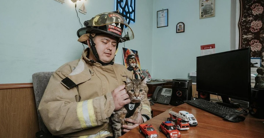 Кіт Степан познайомився з харківськими пожежниками