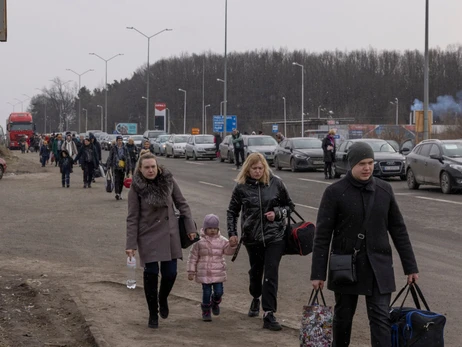 Їдемо за кордон: м'ясо та молоко не веземо, собак та кішок декларуємо