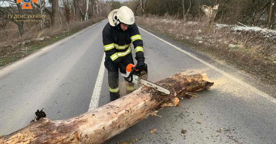 Повалені дерева та відключення світла: триває ліквідація наслідків негоди у 12 областях