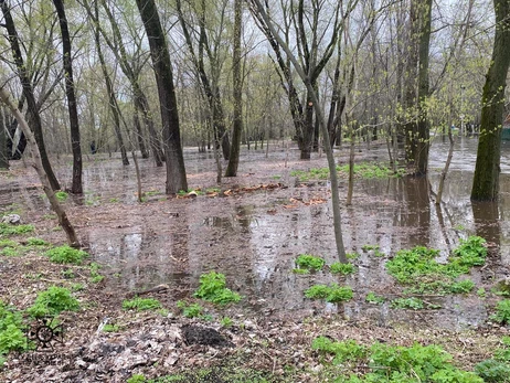 Уровень воды в Днепре в Киеве поднимается второй день подряд - КГВА