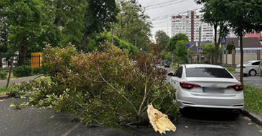 Без світла і повалені дерева: Київ накрив сильний буревій