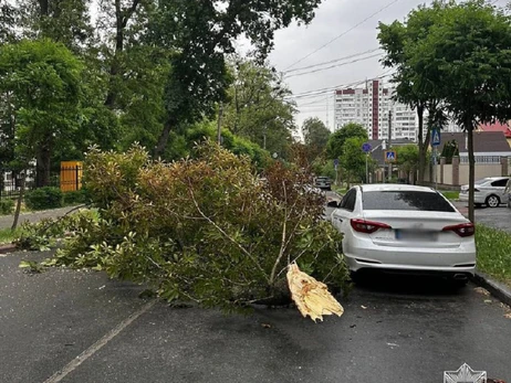 Без света и поваленные деревья: Киев накрыл сильный ураган