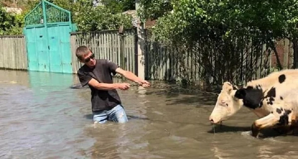 Котів та собак виносять на руках: як рятують від підтоплення тварин на Херсонщині