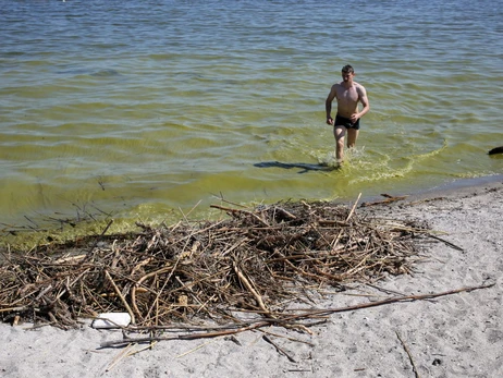 В Одесі позеленіло море