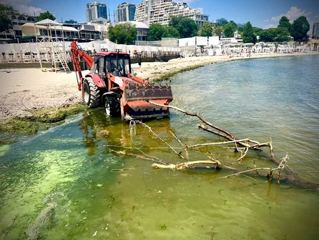 В водах Одесской области выявили опасные возбудители инфекционных болезней