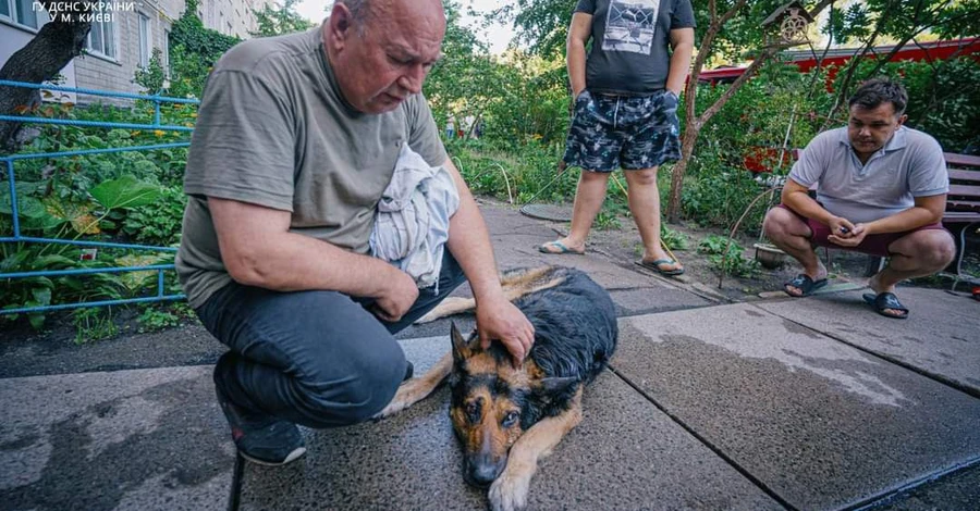 В Киеве пожарные спасли собаку из горящей квартиры