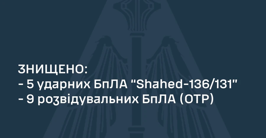 Сили ППО в ніч проти 22 липня збили всі російські дрони-камікадзе 