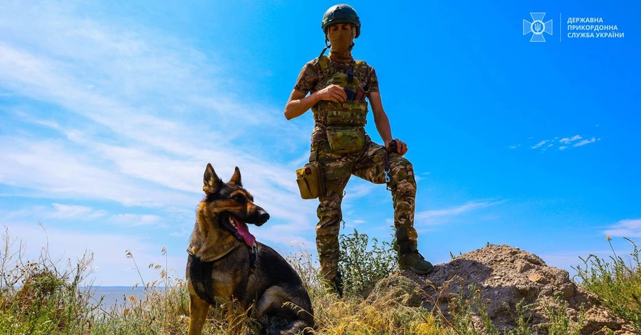 Прикордонники за допомогою дрона виявили чоловіка, який хотів втекти до Словаччини 