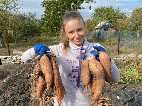 Смачніше та корисніше картоплі: мешканка Кривого Рогу вирощує на городі батат