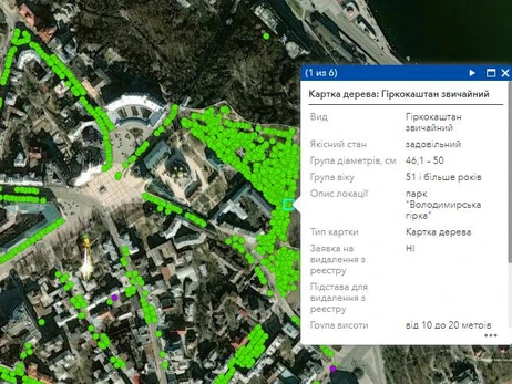 У Києві задля обліку та захисту «оцифрували» понад 100 тисяч дерев