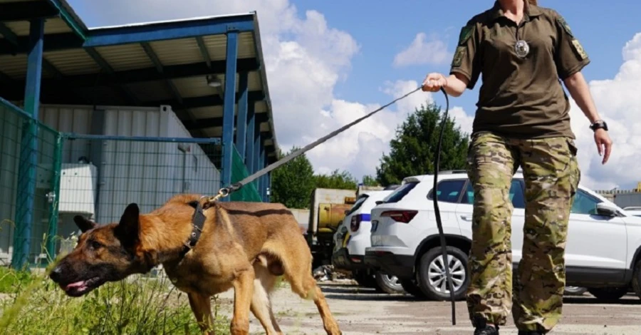 В Україну приїхали собаки з ЄС, які працюватимуть на деокупованих територіях