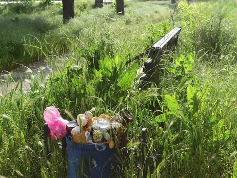 Міськрада Маріуполя: Окуповане місто потонуло у смітті й заросло травою 