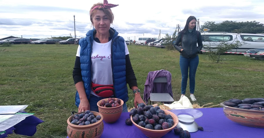 «Угорка», «Ренклод» чи канадська. Які сливи нормалізують тиск та вагу