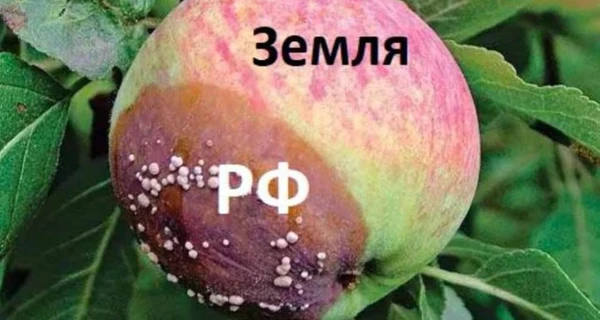 Анекдоти та меми тижня: в Україні та Ізраїлі перемінна погода – місцями «Град»