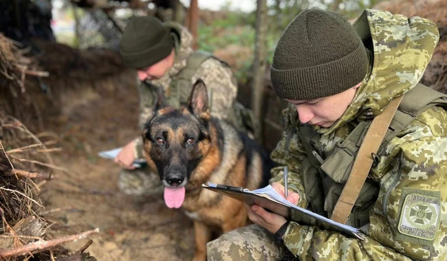 Військові в окопах пишуть радіодиктант національної єдності 