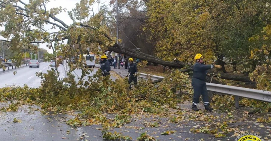 Негода у Києві: пошкоджено майже 600 дерев, рух транспорту утруднений