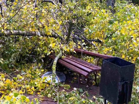 В Киеве из-за дождя и ветра есть травмированные, подтопления и повреждения