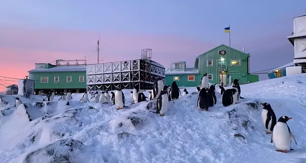 Антарктическая экспедиция на фронте: где воюют 