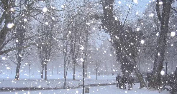 Во Львовской области падает первый снег