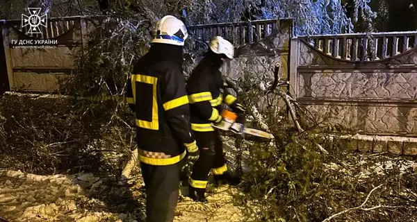 Непогода вызвала «деревопад» в четырех областях, в Запорожье ветер вынес на дорогу бетонный блок