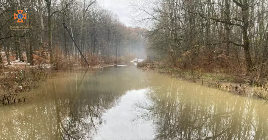 На Закарпатье из-за дождей поднялась вода в реках — подтоплены дома и поля