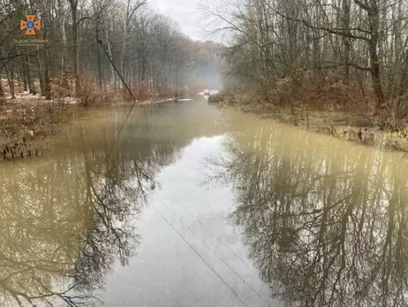 На Закарпатті через дощі піднялася вода в річках — підтоплено будинки та поля