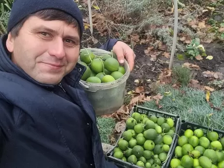 Маракуйя, инжир и гранат: как харьковчанин выращивает экзотику и спасал ее под обстрелами