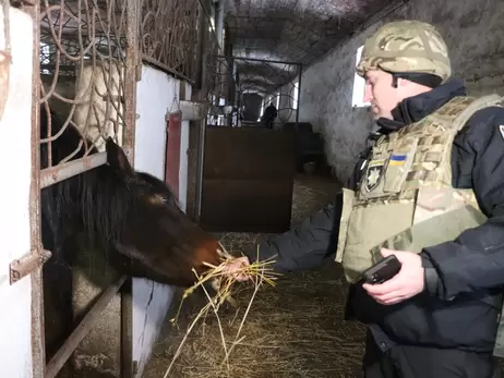 Полицейские опекают почти 30 лошадей с фермы на Харьковщине