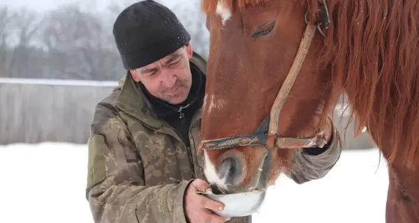 В Харьковской области фермер бросил 28 лошадей, волонтеры требуют изъять животных