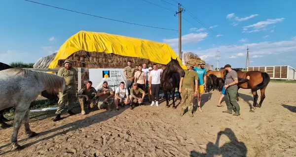 Кони победы. Как под Харьковом лошади помогают военным перезагрузиться