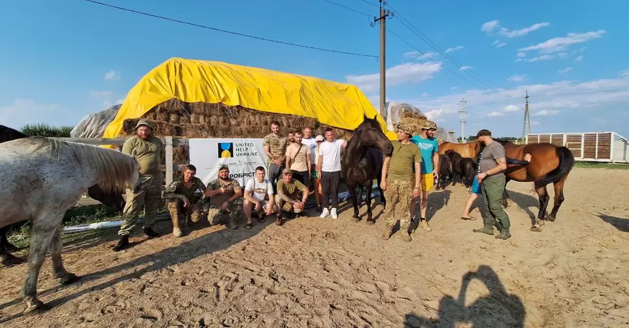 Коні перемоги. Як під Харковом коні допомагають військовим перезавантажитись