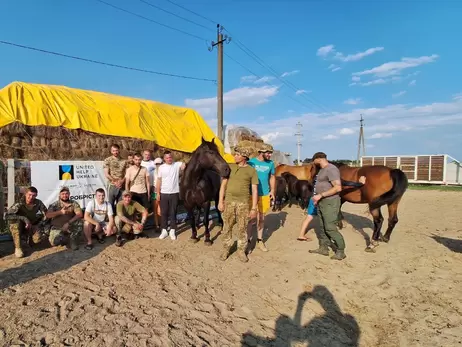 Коні перемоги. Як під Харковом коні допомагають військовим перезавантажитись