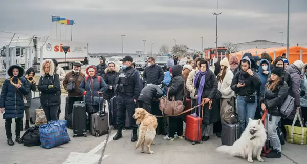 В Нидерландах депутат предложила отправить украинских беженцев домой