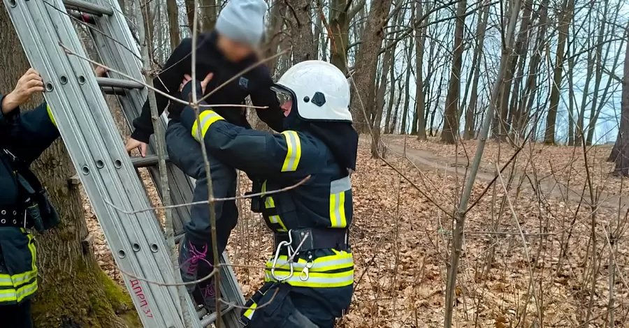 Во Львовской области спасли девочку, застрявшую на дереве 