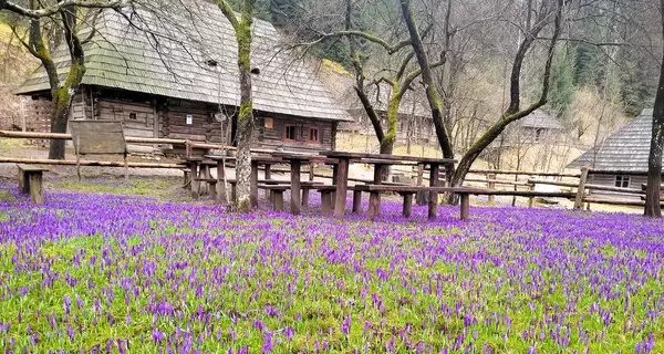 На Закарпатье в музее 