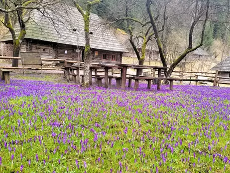 На Закарпатті у музеї 