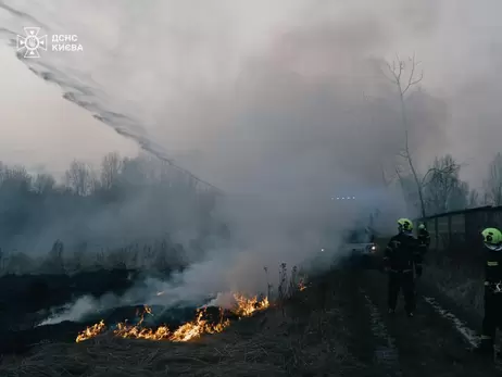 На Харківщині через спалювання сухої трави загинула жінка