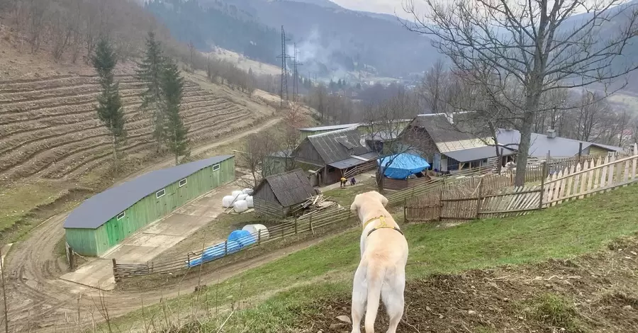 У найвисокогірнішому районі України вирощуватимуть італійські сорти винограду