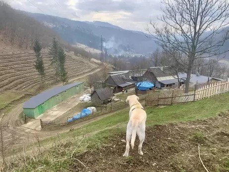 У найвисокогірнішому районі України вирощуватимуть італійські сорти винограду