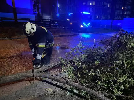 В Запорожье силы ГСЧС всю ночь ликвидировали последствия непогоды