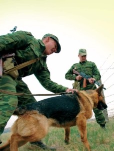 Собака вычислила контрабандиста с фашистским антиквариатом  