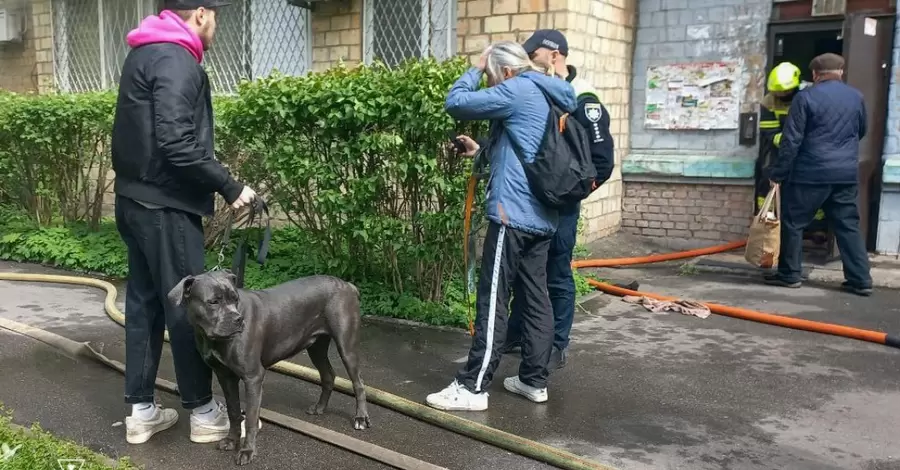 У Києві рятувальники винесли з палаючої квартири понад десять собак та котів 