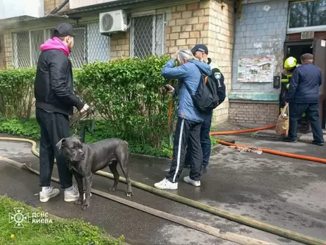 В Киеве спасатели вынесли из горящей квартиры более десяти собак и котов 